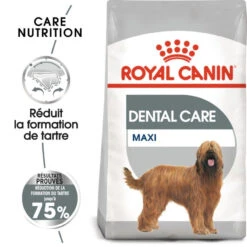 ROYAL CANIN CCN Maxi Dental Care 3kg + ORIJEN Original Chien 340g GRATUIT