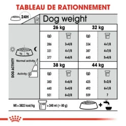 ROYAL CANIN CCN Maxi Dental Care 9kg -ROYAL CANIN Soldes Magasin fre pl ROYAL CANIN CCN Maxi Dental Care 9kg 10068 6