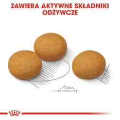 ROYAL CANIN CCN Maxi Dermacomfort 12kg Croquettes Pour Chiens Adultes, Grandes Races, à La Peau Sensible Et Sujette Aux Irritations. -ROYAL CANIN Soldes Magasin fre pl ROYAL CANIN CCN Maxi Dermacomfort 12kg croquettes pour chiens adultes grandes races a la peau sensible et sujette aux irritations 25933 5