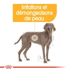 ROYAL CANIN CCN Maxi Dermacomfort 3kg 13 ROYAL CANIN CCN Maxi Dermacomfort 3kg -ROYAL CANIN Soldes Magasin fre pl ROYAL CANIN CCN Maxi Dermacomfort 3kg 16272 7
