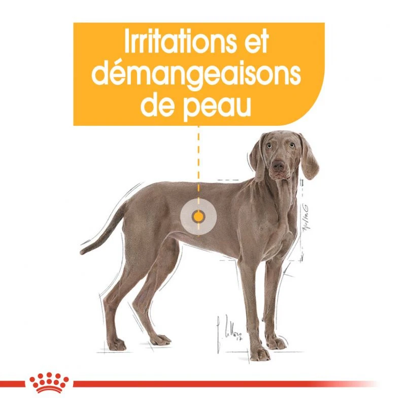 ROYAL CANIN CCN Maxi Dermacomfort 3kg 8 ROYAL CANIN CCN Maxi Dermacomfort 3kg – Image 6
