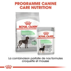 ROYAL CANIN CCN Maxi Digestive Care 3kg -ROYAL CANIN Soldes Magasin fre pl ROYAL CANIN CCN Maxi Digestive Care 3kg 10070 6