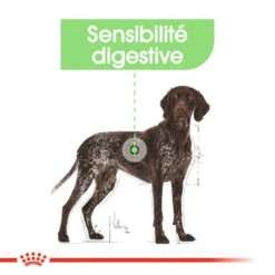 ROYAL CANIN CCN Maxi Digestive Care 3kg -ROYAL CANIN Soldes Magasin fre pl ROYAL CANIN CCN Maxi Digestive Care 3kg 10070 7