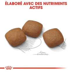 ROYAL CANIN CCN Maxi Joint Care 3kg + OVER ZOO Délicatesse 100g Gratuit 13 ROYAL CANIN CCN Maxi Joint Care 3kg + OVER ZOO Délicatesse 100g Gratuit -ROYAL CANIN Soldes Magasin fre pl ROYAL CANIN CCN Maxi Joint Care 3kg OVER ZOO Delicatesse 100g Gratuit 30800 6