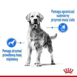 ROYAL CANIN CCN Maxi Light Weight Care 12kg Croquettes Pour Chiens Adultes, Grandes Races Sujettes Au Surpoids + Surprise Pour Chien Gratuite 11 ROYAL CANIN CCN Maxi Light Weight Care 12kg Croquettes Pour Chiens Adultes, Grandes Races Sujettes Au Surpoids + Surprise Pour Chien Gratuite -ROYAL CANIN Soldes Magasin fre pl ROYAL CANIN CCN Maxi Light Weight Care 12kg croquettes pour chiens adultes grandes races sujettes au surpoids surprise pour chien gratuite 25889 4