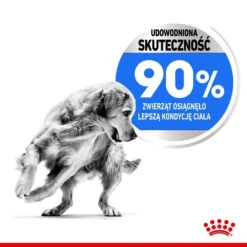 ROYAL CANIN CCN Maxi Light Weight Care 2 X 12kg -ROYAL CANIN Soldes Magasin fre pl ROYAL CANIN CCN Maxi Light Weight Care 2 x 12kg 25890 5