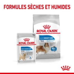 ROYAL CANIN CCN Maxi Light Weight Care 3kg -ROYAL CANIN Soldes Magasin fre pl ROYAL CANIN CCN Maxi Light Weight Care 3kg 10055 4