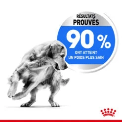 ROYAL CANIN CCN Maxi Light Weight Care 3kg -ROYAL CANIN Soldes Magasin fre pl ROYAL CANIN CCN Maxi Light Weight Care 3kg 10055 6