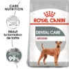 ROYAL CANIN CCN Medium Dental Care 3kg 1 ROYAL CANIN CCN Medium Dental Care 3kg -ROYAL CANIN Soldes Magasin fre pl ROYAL CANIN CCN Medium Dental Care 3kg 10073 1
