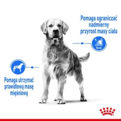 ROYAL CANIN CCN Medium Light Weight Care 12kg Nourriture Sèche Pour Chiens Adultes, Races Moyennes Sujettes à L'embonpoint -ROYAL CANIN Soldes Magasin fre pl ROYAL CANIN CCN Medium Light Weight Care 12kg nourriture seche pour chiens adultes races moyennes sujettes a lembonpoint 26050 4