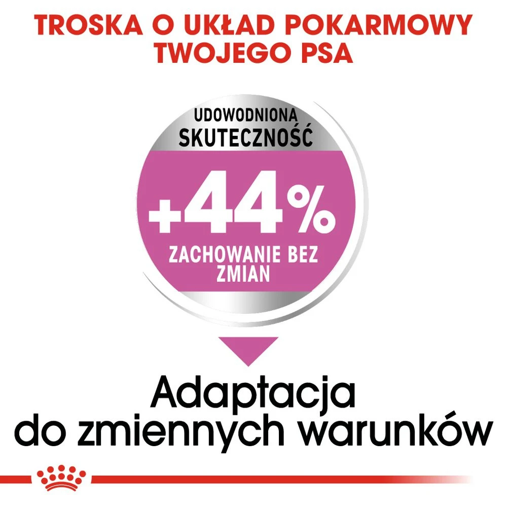 ROYAL CANIN CCN Medium Relax Care 10kg X2 5 ROYAL CANIN CCN Medium Relax Care 10kg X2 – Image 3