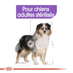 ROYAL CANIN CCN Medium Sterilised 3kg X2 10 ROYAL CANIN CCN Medium Sterilised 3kg X2 -ROYAL CANIN Soldes Magasin fre pl ROYAL CANIN CCN Medium Sterilised 3kg x2 30718 5