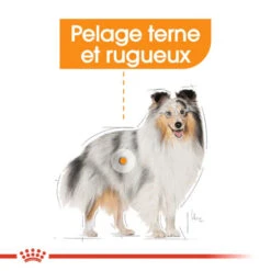 ROYAL CANIN CCN Mini Coat Care 1kg -ROYAL CANIN Soldes Magasin fre pl ROYAL CANIN CCN Mini Coat Care 1kg 16281 5