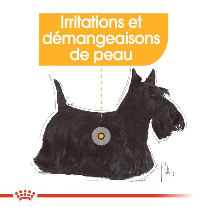 ROYAL CANIN CCN Mini Dermacomfort 1kg 7 ROYAL CANIN CCN Mini Dermacomfort 1kg – Image 5