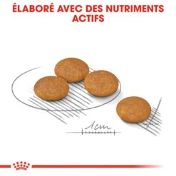 ROYAL CANIN CCN Mini Dermacomfort 1kg + OVER ZOO Délicatesse 100g -ROYAL CANIN Soldes Magasin fre pl ROYAL CANIN CCN Mini Dermacomfort 1kg OVER ZOO Delicatesse 100g 30805 2