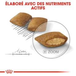 ROYAL CANIN CCN Mini Exigent 3kg X2 11 ROYAL CANIN CCN Mini Exigent 3kg X2 -ROYAL CANIN Soldes Magasin fre pl ROYAL CANIN CCN Mini Exigent 3kg x2 30720 5