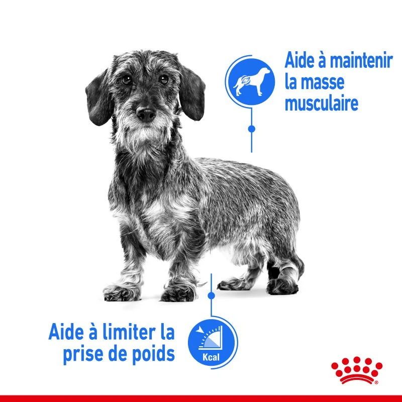 ROYAL CANIN CCN Mini Light Weight Care 1kg 4 ROYAL CANIN CCN Mini Light Weight Care 1kg – Image 2