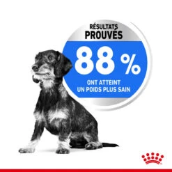 ROYAL CANIN CCN Mini Light Weight Care 8kg 13 ROYAL CANIN CCN Mini Light Weight Care 8kg -ROYAL CANIN Soldes Magasin fre pl ROYAL CANIN CCN Mini Light Weight Care 8kg 10067 6