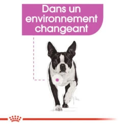 ROYAL CANIN CCN Mini Relax Care 1kg -ROYAL CANIN Soldes Magasin fre pl ROYAL CANIN CCN Mini Relax Care 1kg 16289 6