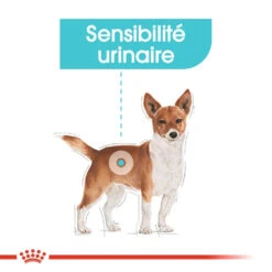 ROYAL CANIN CCN Mini Urinary Care 1kg + OVER ZOO Délicatesse 100g GRATUIT -ROYAL CANIN Soldes Magasin fre pl ROYAL CANIN CCN Mini Urinary Care 1kg OVER ZOO Delicatesse 100g GRATUIT 30810 1