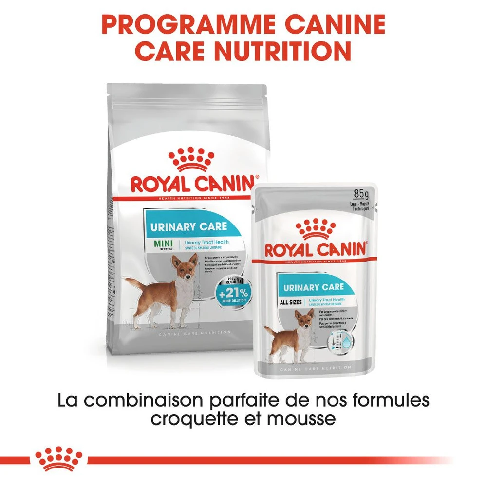 ROYAL CANIN CCN Mini Urinary Care 3kg 5 ROYAL CANIN CCN Mini Urinary Care 3kg – Image 3