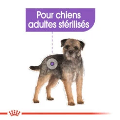 ROYAL CANIN CCN Sterilised Mini Pâté 12x85g 12 ROYAL CANIN CCN Sterilised Mini Pâté 12x85g -ROYAL CANIN Soldes Magasin fre pl ROYAL CANIN CCN Sterilised Mini Pate 12x85g 10088 5