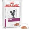 ROYAL CANIN Cat Renal 12x85g -ROYAL CANIN Soldes Magasin fre pl ROYAL CANIN Cat Renal 12x85g 12956 1