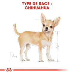 ROYAL CANIN Chihuahua Adult 500g X2 -ROYAL CANIN Soldes Magasin fre pl ROYAL CANIN Chihuahua Adult 500g x2 30761 3
