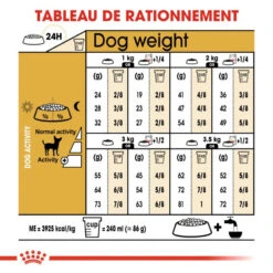 ROYAL CANIN Chihuahua Adult 500g X2 -ROYAL CANIN Soldes Magasin fre pl ROYAL CANIN Chihuahua Adult 500g x2 30761 6