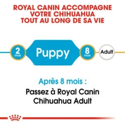 ROYAL CANIN Chihuahua Puppy 1,5kg -ROYAL CANIN Soldes Magasin fre pl ROYAL CANIN Chihuahua Puppy 1 5kg 15969 3