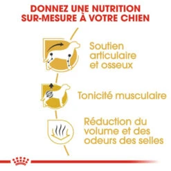 ROYAL CANIN Dachshund Adult 1,5kg -ROYAL CANIN Soldes Magasin fre pl ROYAL CANIN Dachshund Adult 1 5kg 15974 4