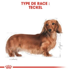 ROYAL CANIN Dachshund Adult 1,5kg -ROYAL CANIN Soldes Magasin fre pl ROYAL CANIN Dachshund Adult 1 5kg 15974 6