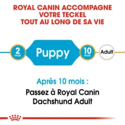 ROYAL CANIN Dachshund Puppy 1,5kg -ROYAL CANIN Soldes Magasin fre pl ROYAL CANIN Dachshund Puppy 1 5kg 15331 2