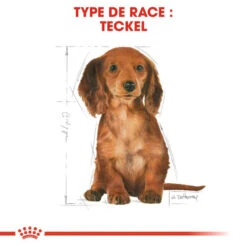 ROYAL CANIN Dachshund Puppy 1,5kg -ROYAL CANIN Soldes Magasin fre pl ROYAL CANIN Dachshund Puppy 1 5kg 15331 7