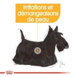 ROYAL CANIN Dermacomfort Pâté 12x85g 11 ROYAL CANIN Dermacomfort Pâté 12x85g -ROYAL CANIN Soldes Magasin fre pl ROYAL CANIN Dermacomfort Pate 12x85g 10092 4