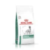 ROYAL CANIN Diabetic 12kg -ROYAL CANIN Soldes Magasin fre pl ROYAL CANIN Diabetic 12kg 16770 4
