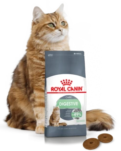 ROYAL CANIN Digestive Care 10kg+ Surprise Pour Votre Chat GRATUITES ! -ROYAL CANIN Soldes Magasin fre pl ROYAL CANIN Digestive Care 10kg surprise pour votre chat GRATUITES 25261 2