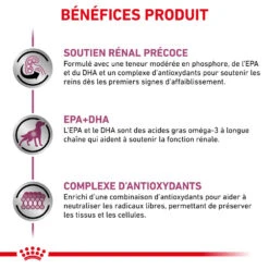 ROYAL CANIN Early Renal 2kg X2 -ROYAL CANIN Soldes Magasin fre pl ROYAL CANIN Early Renal 2kg x2 30657 3