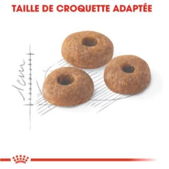 ROYAL CANIN Fit 32 10kg -ROYAL CANIN Soldes Magasin fre pl ROYAL CANIN Fit 32 10kg 15994 3