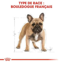 ROYAL CANIN French Bulldog Adult 1,5kg -ROYAL CANIN Soldes Magasin fre pl ROYAL CANIN French Bulldog Adult 1 5kg 16936 2
