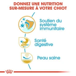 ROYAL CANIN French Bulldog Puppy 3kg -ROYAL CANIN Soldes Magasin fre pl ROYAL CANIN French Bulldog Puppy 3kg 15997 5