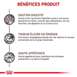 ROYAL CANIN Gastrointestinal 12x85g -ROYAL CANIN Soldes Magasin fre pl ROYAL CANIN Gastrointestinal 12x85g 12321 3