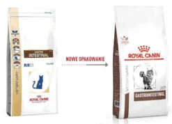ROYAL CANIN Gastrointestinal 2kg CHAT -ROYAL CANIN Soldes Magasin fre pl ROYAL CANIN Gastrointestinal 2kg CHAT 16000 1