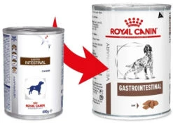 ROYAL CANIN Gastrointestinal 6x 400g -ROYAL CANIN Soldes Magasin fre pl ROYAL CANIN Gastrointestinal 6x 400g 25263 1