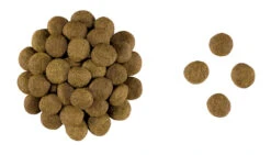 ROYAL CANIN Gastrointestinal High Fibre 2kg -ROYAL CANIN Soldes Magasin fre pl ROYAL CANIN Gastrointestinal High Fibre 2kg 9825 3