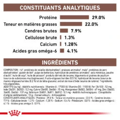 ROYAL CANIN Gastrointestinal Puppy 2,5kg 11 ROYAL CANIN Gastrointestinal Puppy 2,5kg -ROYAL CANIN Soldes Magasin fre pl ROYAL CANIN Gastrointestinal Puppy 2 5kg 16002 4