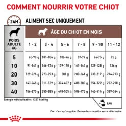 ROYAL CANIN Gastrointestinal Puppy 2,5kg 12 ROYAL CANIN Gastrointestinal Puppy 2,5kg -ROYAL CANIN Soldes Magasin fre pl ROYAL CANIN Gastrointestinal Puppy 2 5kg 16002 6