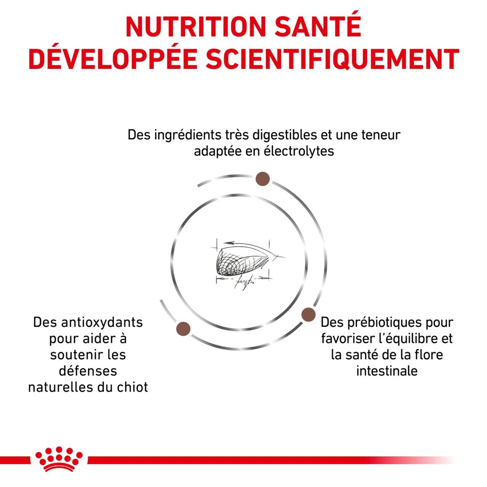 ROYAL CANIN Gastrointestinal Puppy 2,5kg 8 ROYAL CANIN Gastrointestinal Puppy 2,5kg – Image 6