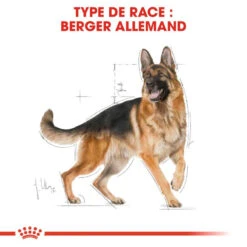 ROYAL CANIN German Shepherd Adult 11kg -ROYAL CANIN Soldes Magasin fre pl ROYAL CANIN German Shepherd Adult 11kg 9899 2