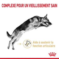 ROYAL CANIN German Shepherd Adult 5+ 12kg -ROYAL CANIN Soldes Magasin fre pl ROYAL CANIN German Shepherd Adult 5 12kg 12523 3